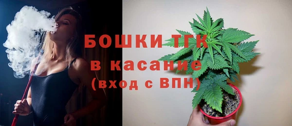 тгк Пестово
