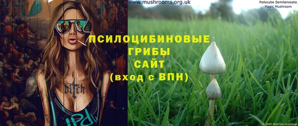 винт Переславль-Залесский